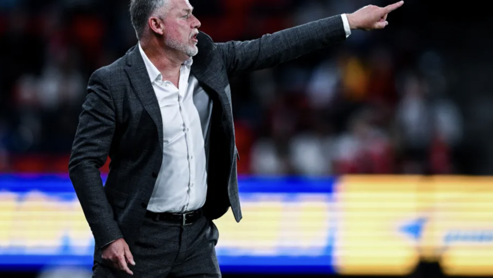 这里以来, 进入禁区