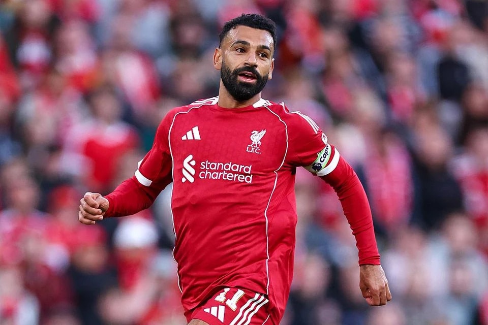 队在各项赛 队在各项赛